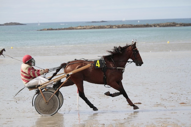 Фото Конные гонки на пляже