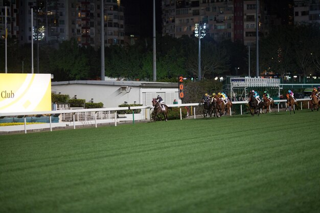 写真 競馬場