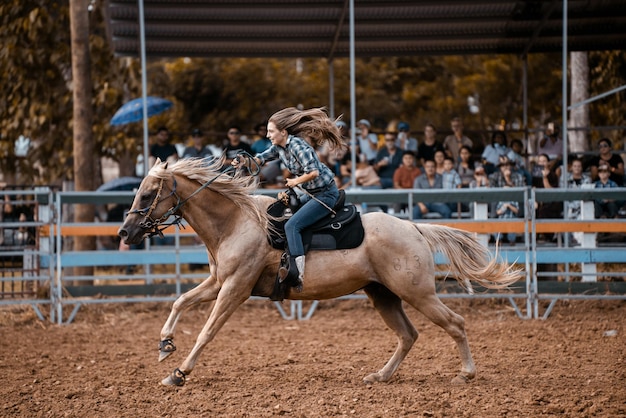 Photo horse raiding