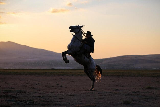 Horse Rearing in Field Kayseri Turkey