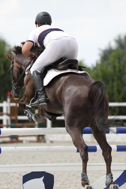 Foto cavallo e cavaliere su un cavallo nella competizione di salto ostacoli