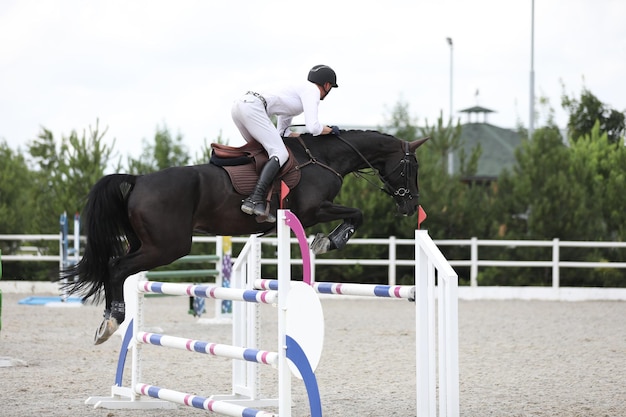 Foto cavallo e cavaliere su un cavallo nella competizione di salto ostacoli