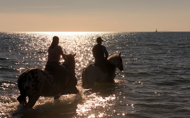 Cavalieri a cavallo nel mare
