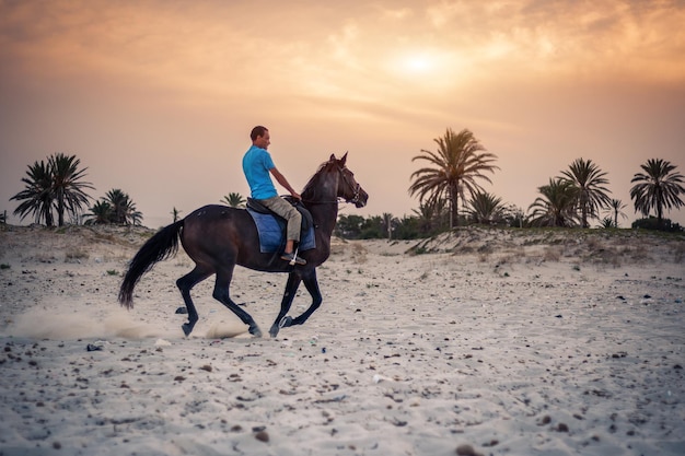 Horse riding on the beach at sunset