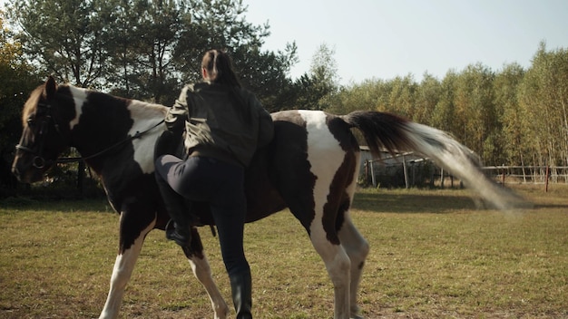 Photo horse riding horses in a field