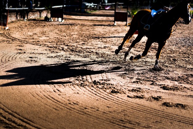 Photo horse running on dirt road