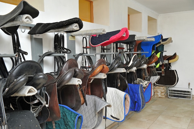 Horse saddles on stock.