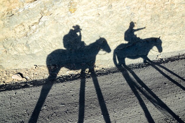 Photo horse shadows