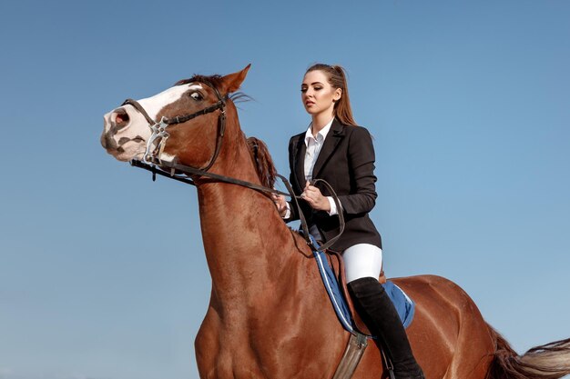 Horse standing against clear sky