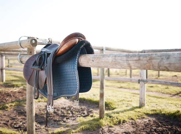 Photo horse standing on field