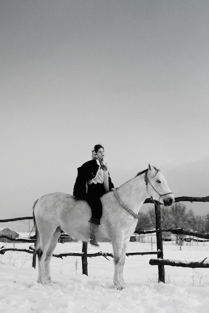 Foto cavallo in piedi sulla neve