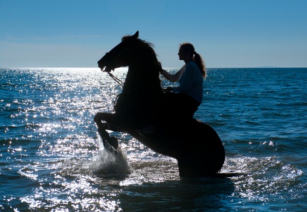 horse woman in the sea