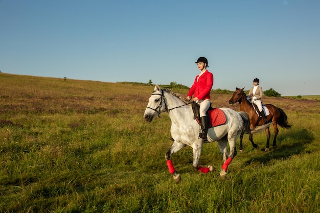 Horseback riders. Two attractive women ride horses on a green meadow