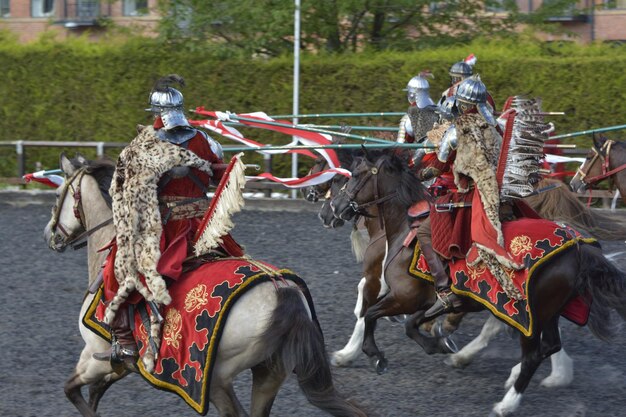 写真 木の上の馬