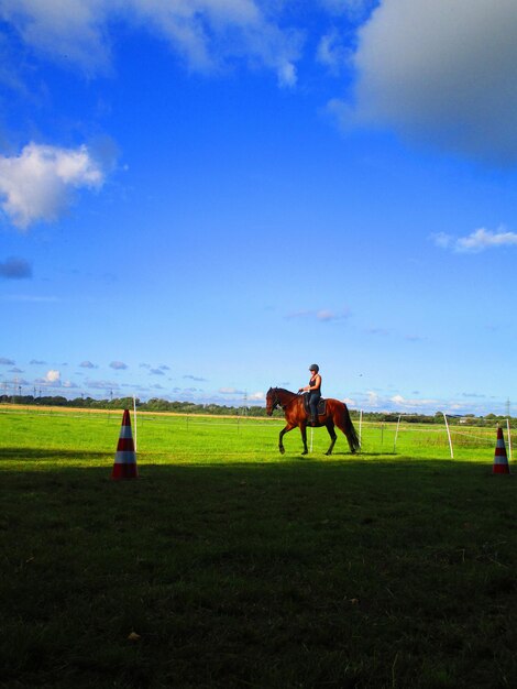 Horses riding horse on field