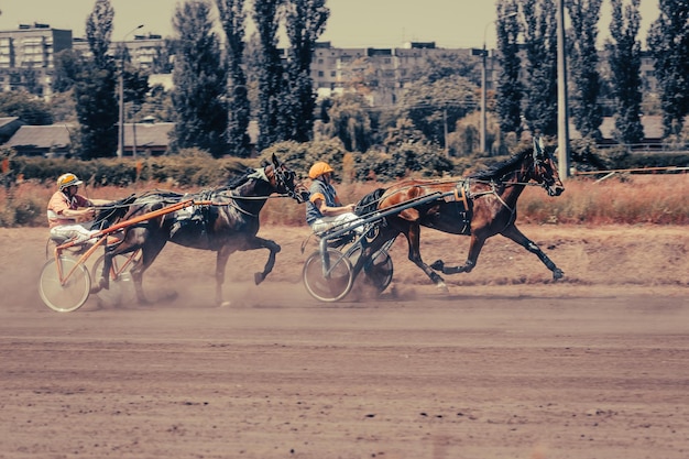 Horses of trotting breeds horses and riders posters on the\
equestrian theme in artistic processing