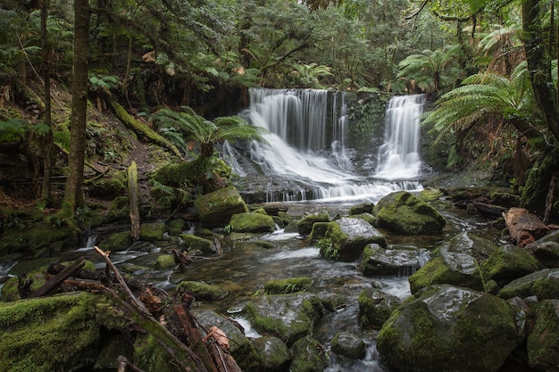 Horseshoe Falls in Tasmania in Australia