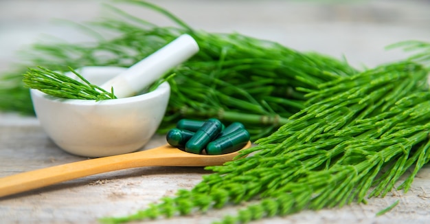 Horsetail pills homeopathy on a wooden spoon