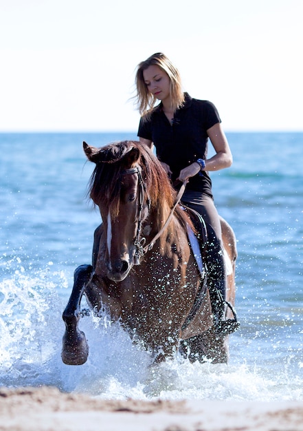 horsewoman on the beach