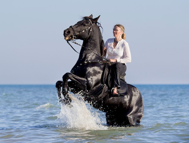 horsewoman in the sea