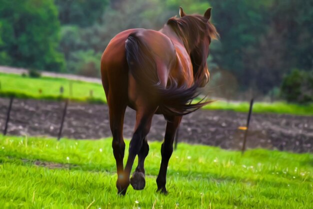 Horsing around on a summer nigh