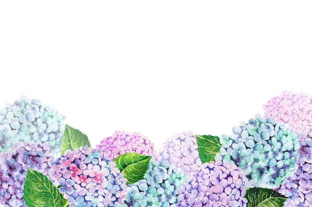 Hortensia bloem aquarel illustratie voor frame en ansichtkaart versieren van ideeën voor uitnodigingskaarten