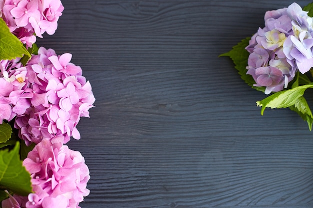 Hortensia bloemen op zwarte houten oppervlak