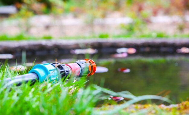 Hose with water near artificial pond. Decorative pool outdoors.