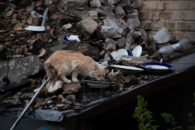 Hostomel Kyiv Oblast Ukraine 2022 A ruined city after Russia's invasion of Ukraine