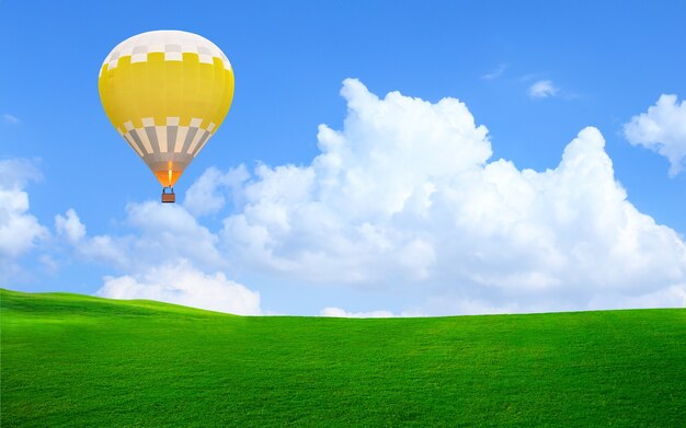 Hot air balloon floating in the sky over green grass