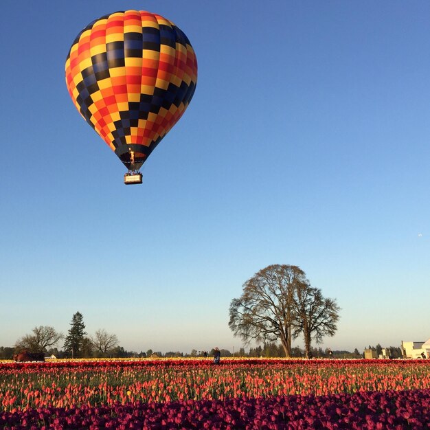 Hot air balloon flying over field against clear blue sky