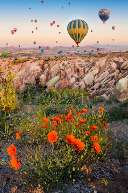 Hot air balloon flying over rock landscape with poppies in Cappadocia Turkey