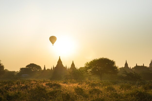 Photo hot air balloons on field against sky during sunset