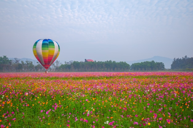 チェンライ県、タイで日の出と花畑の上を飛んで熱気球