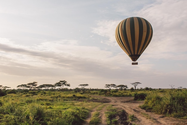 Foto palloncini ad aria calda che volano sul paesaggio contro il cielo