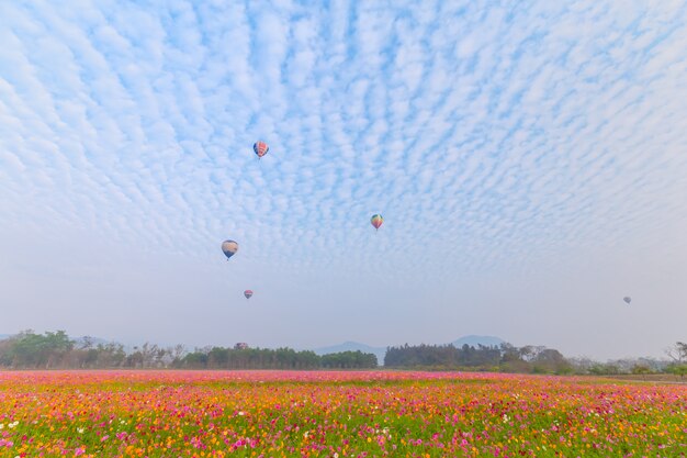 チェンライ県、タイで日の出と花畑の上を飛んで熱気球