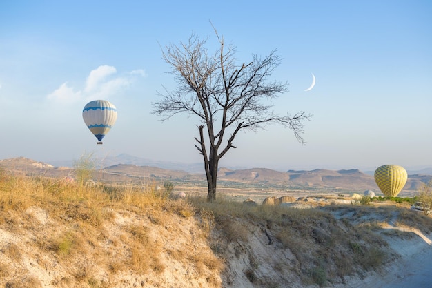 Hot air balloons landing