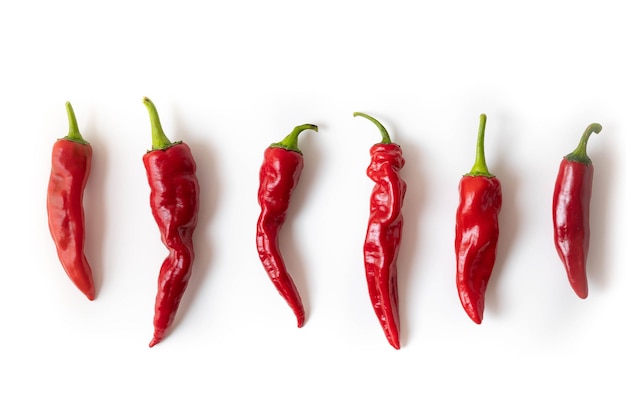 Hot chili pepper isolated on white.
