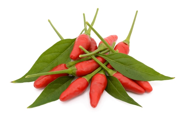 Hot chili peppers on a white surface isolated