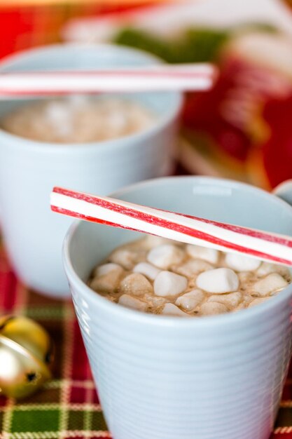 Hot chocolate garnished with small white marshmallows and pepperming stirrer.