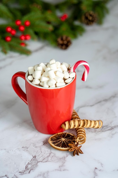 Hot chocolate and marshmallows