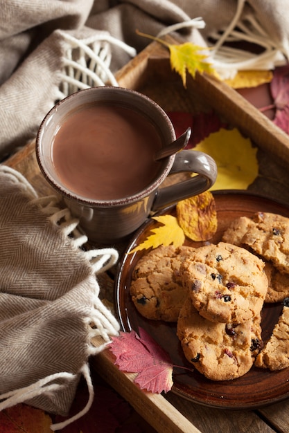 Hot chocolate warming drink wool throw cozy autumn leaves cookies