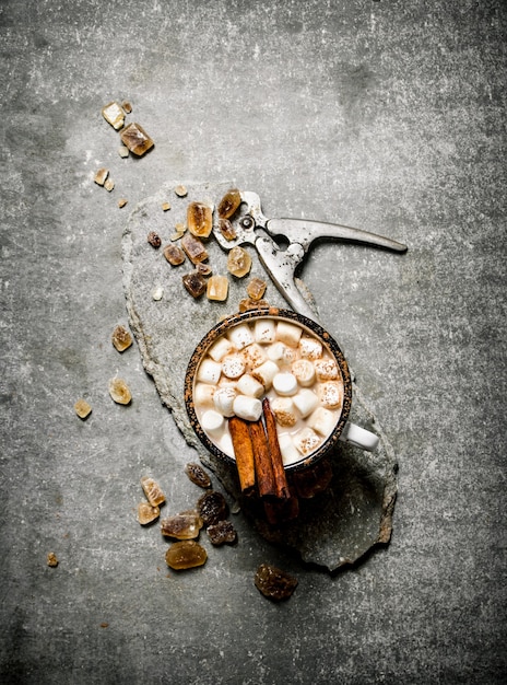 Hot chocolate with cinnamon and dark sugar. On a stone table.