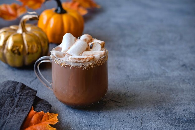 Hot chocolate with marshmallows. The concept of cosy holidays and New Year.