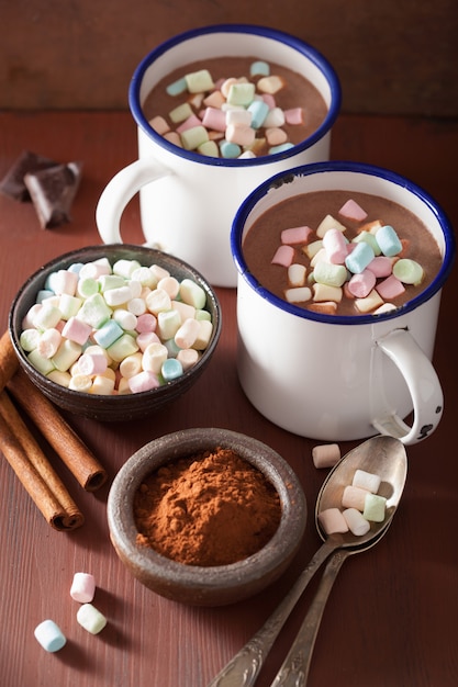 Hot chocolate with mini marshmallows cinnamon winter drink