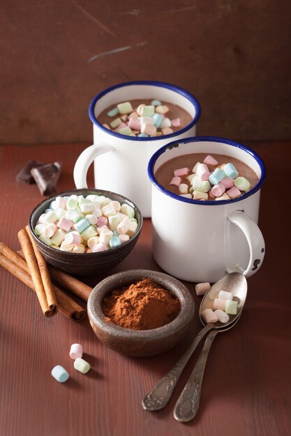 ミニマシュマロシナモンの冬の飲み物とホットチョコレート