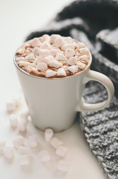 Hot cocoa with marshmallow, cinnamon and spices