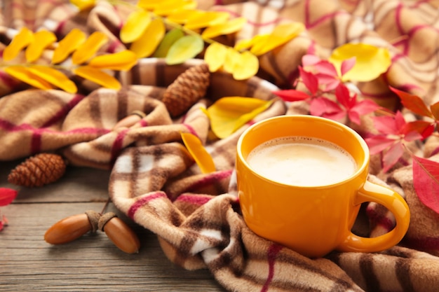 Hot coffee and autumn leaves on plaid