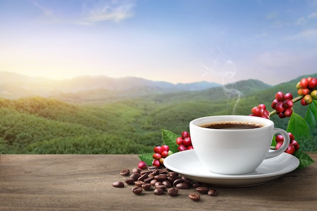 Hot coffee with coffee beans and the mountain background.