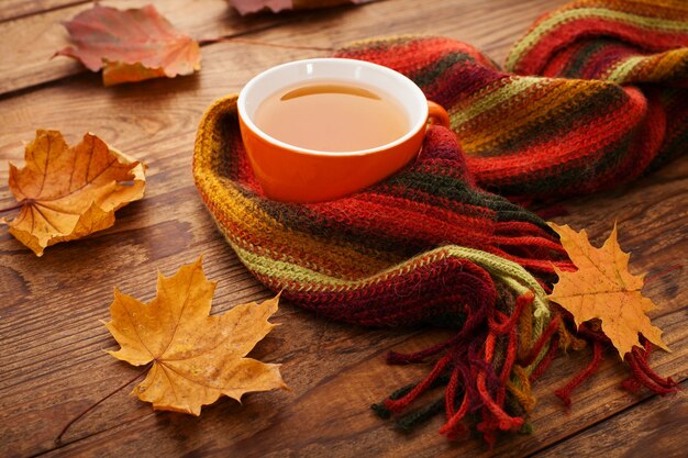 Hot cup of tea with autumn leaves